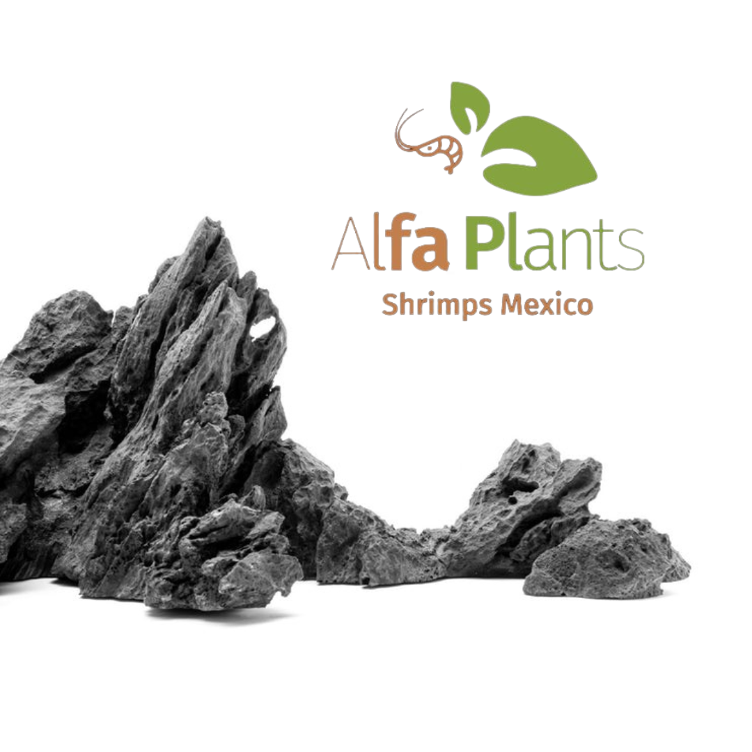 Strata Seiryu Stone Type 2