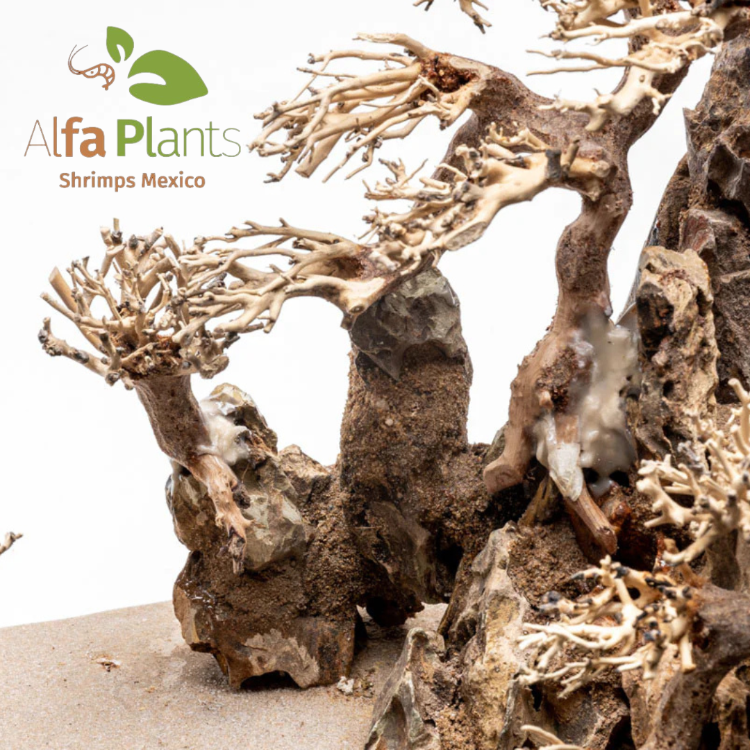 Strata Pro Type 15 UNS – Alfa Plants Shrimps México