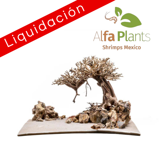 Strata Pro Type 16 UNS