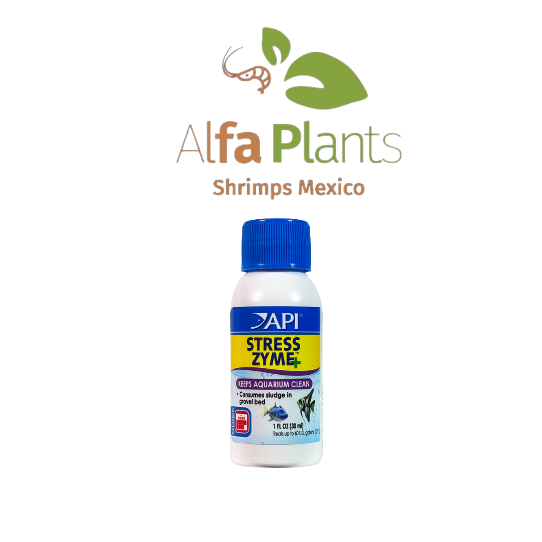 API STRESS ZYME