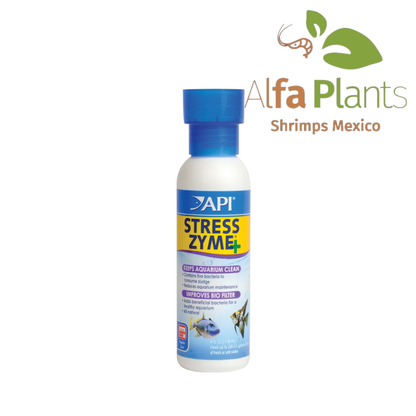 API STRESS ZYME