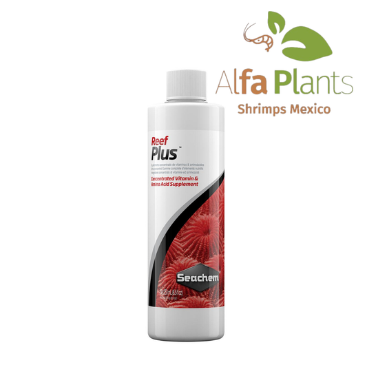 Reef Plus