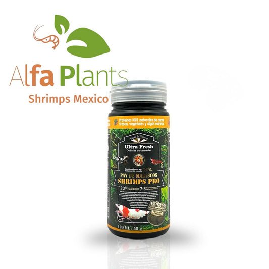 Pay de Mariscos Shrimps Pro