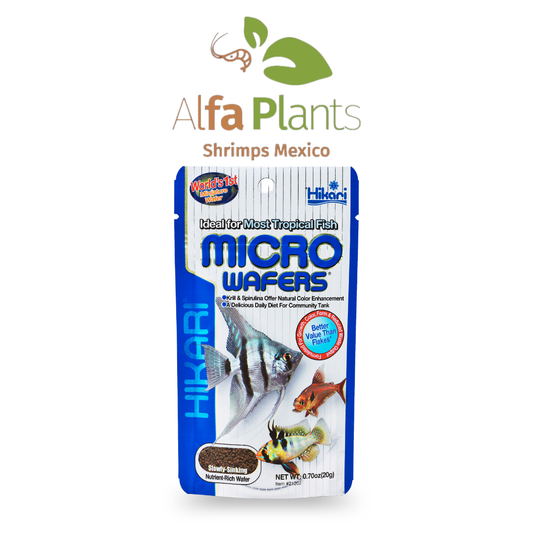 Hikari Micro Wafers