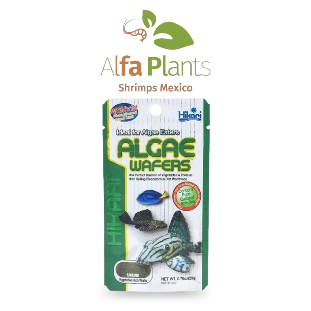 Hikari Algae Wafers