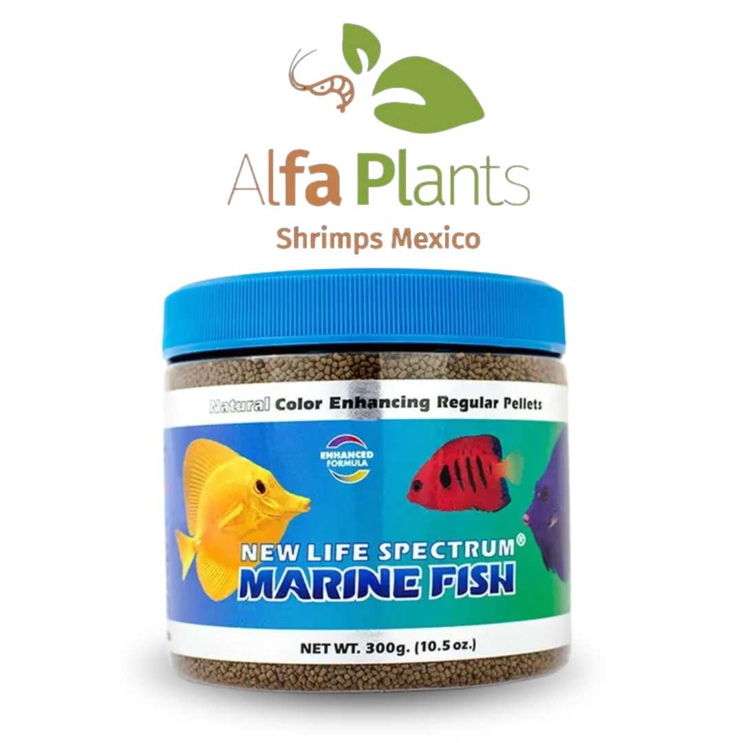New Life Spectrum Marine Fish
