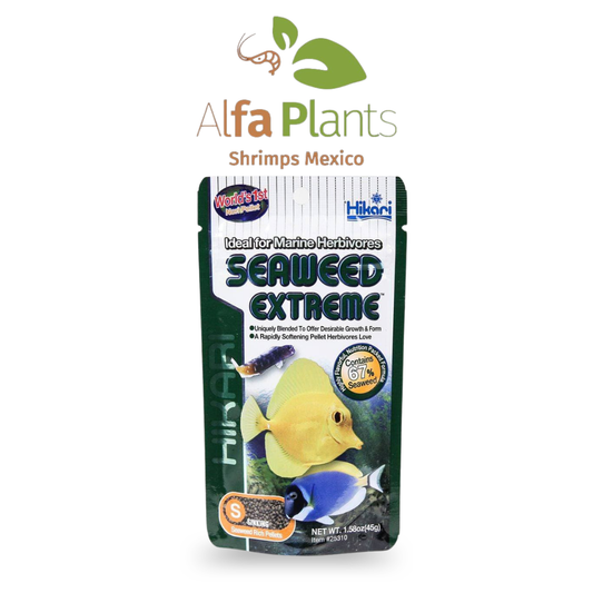 Hikari Seaweed Extreme