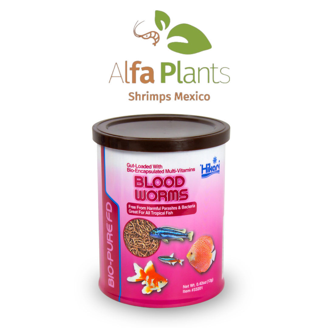 Hikari Blood Worms