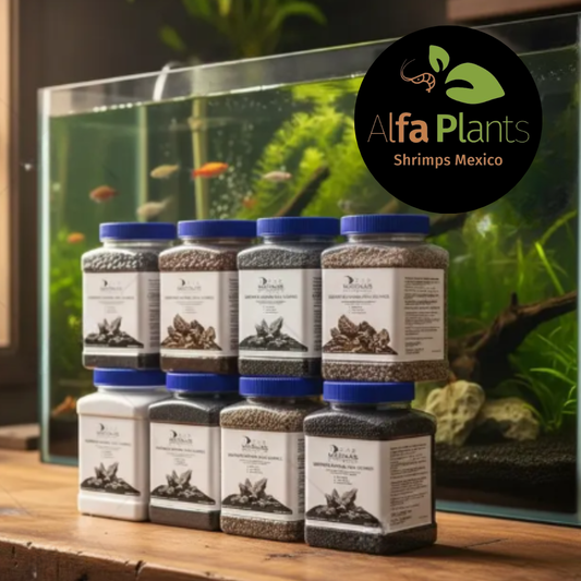 Decoline Ideas Marinas