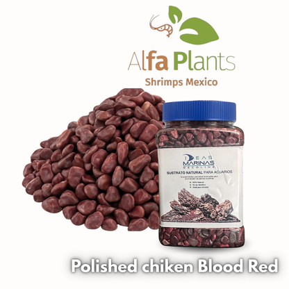 Decoline Ideas Marinas