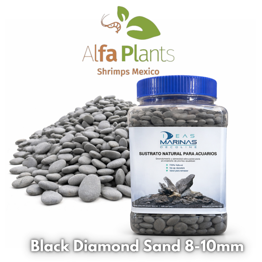 Decoline Ideas Marinas