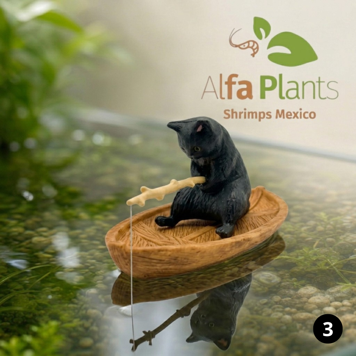 Gato pescando