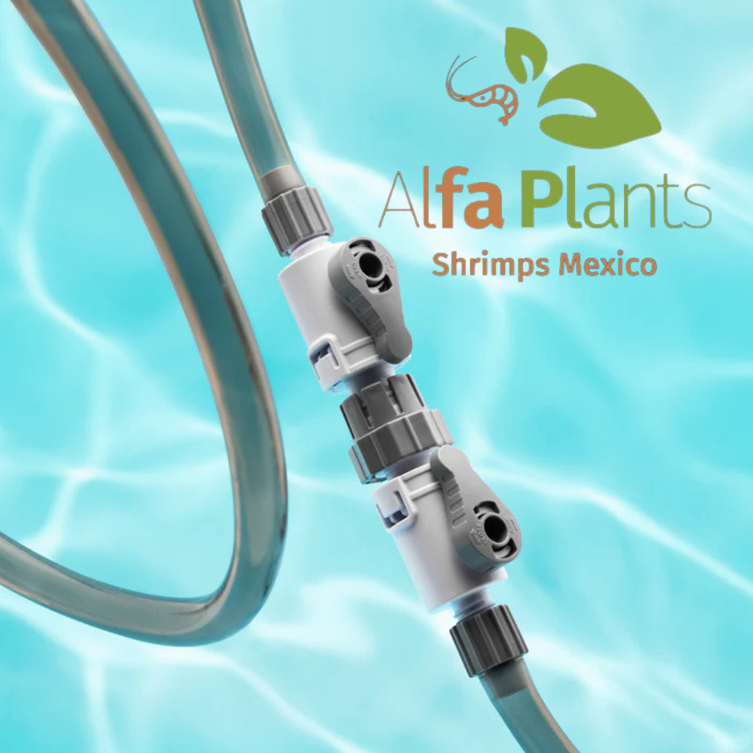 Double Valve Connect UNS