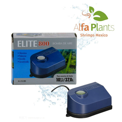 Kit mi primer gambario 40/60L