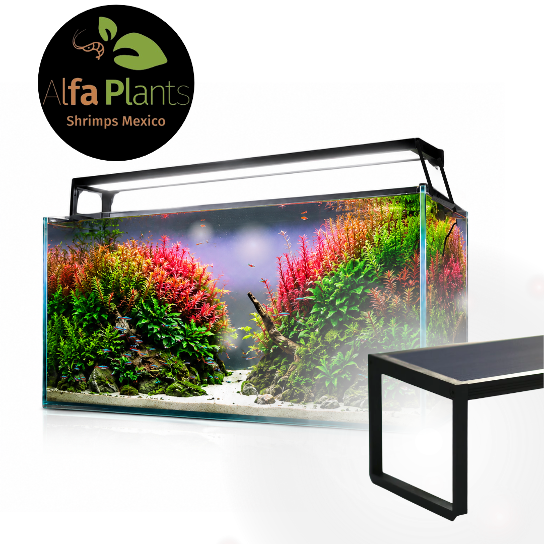 Lámpara Led MicMol EXTREME Series II
