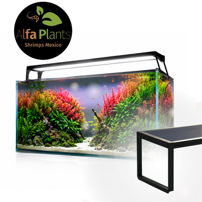 Lámpara Led MicMol EXTREME Series II
