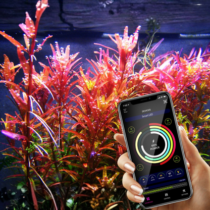 Lámpara Led MicMol EXTREME Series II