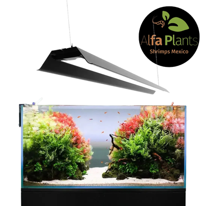 Lámpara Led MicMol Master