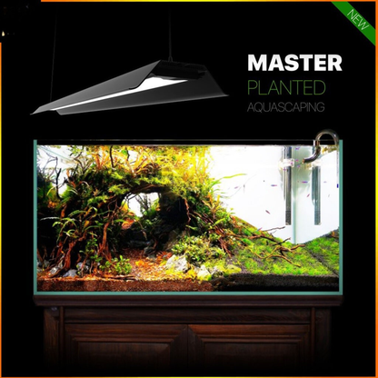 Lámpara Led MicMol Master