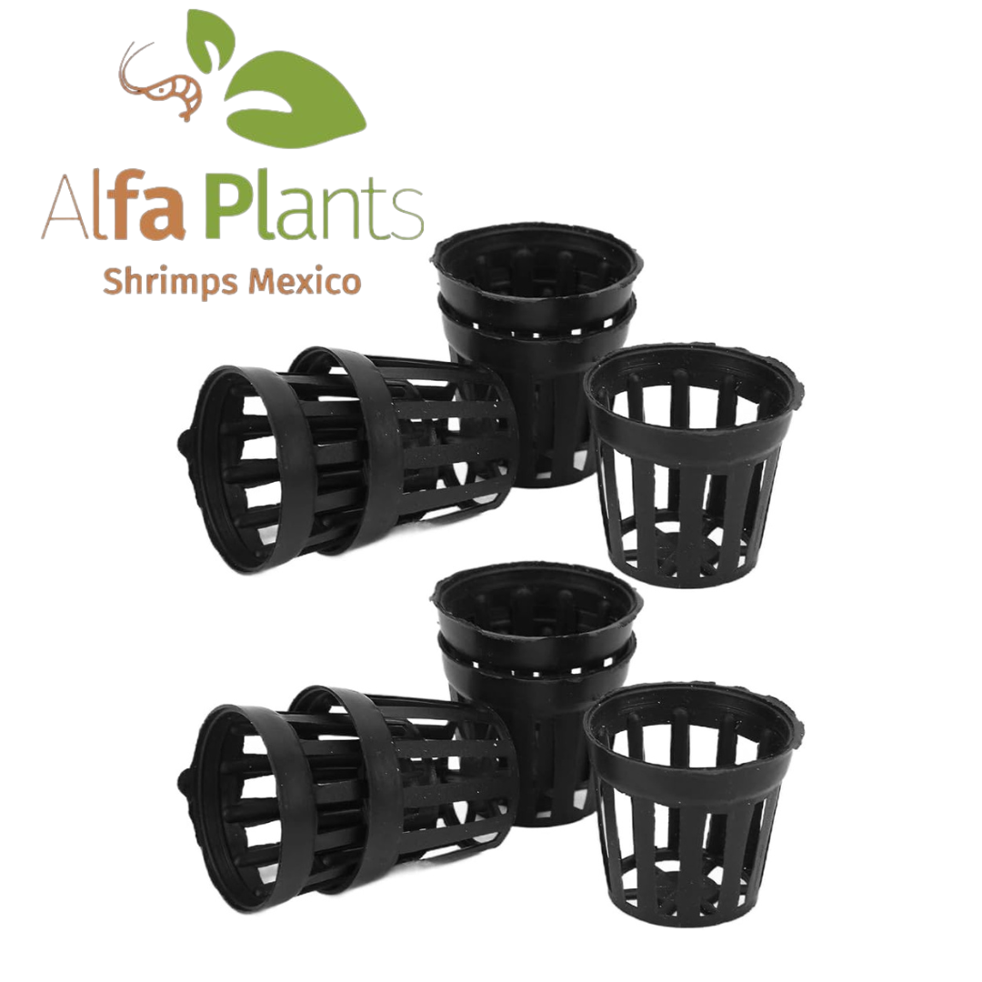 Macetas de plastico
