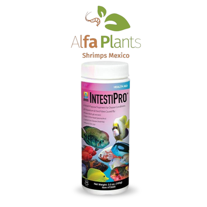 Hikari Intestipro