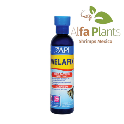 API MELAFIX