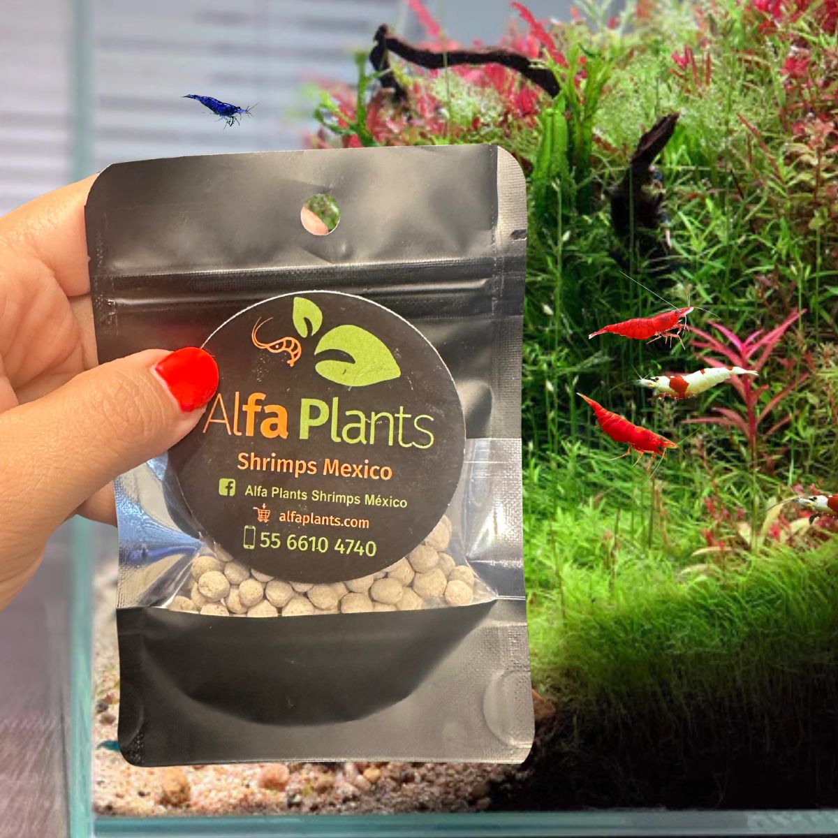 Mineral ball de Montmorillonita