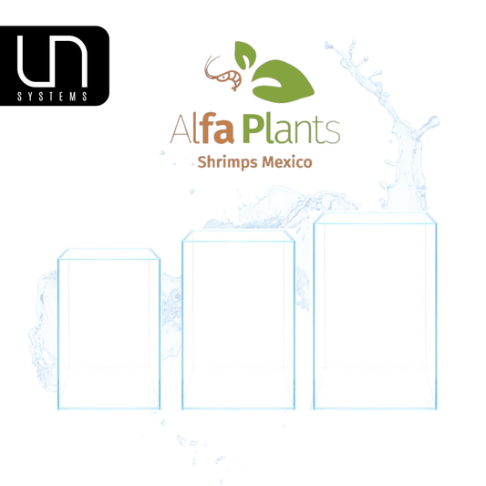 Pecera Prism Tank Ultum Nature Systems