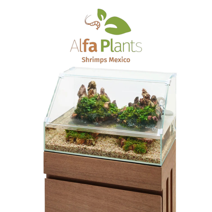 Paludario 60E Ultum Nature Systems