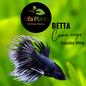 Pez Betta Corona Negro Orquídea White Macho