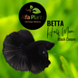 Pez Betta Half Moon Black Cooper Macho