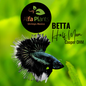 Pez Betta Half Moon Cooper OHM Macho