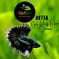 Pez Betta Half Moon Cooper OHM Macho