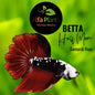 Pez Betta Half Moon Samurái rojo