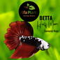 Pez Betta Half Moon Samurái Rojo Macho