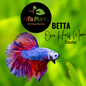 Pez Betta Over Half Moon Tricolor Macho