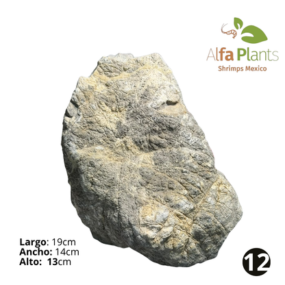 Roca Piel de Elefante