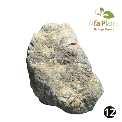 Roca Piel de Elefante