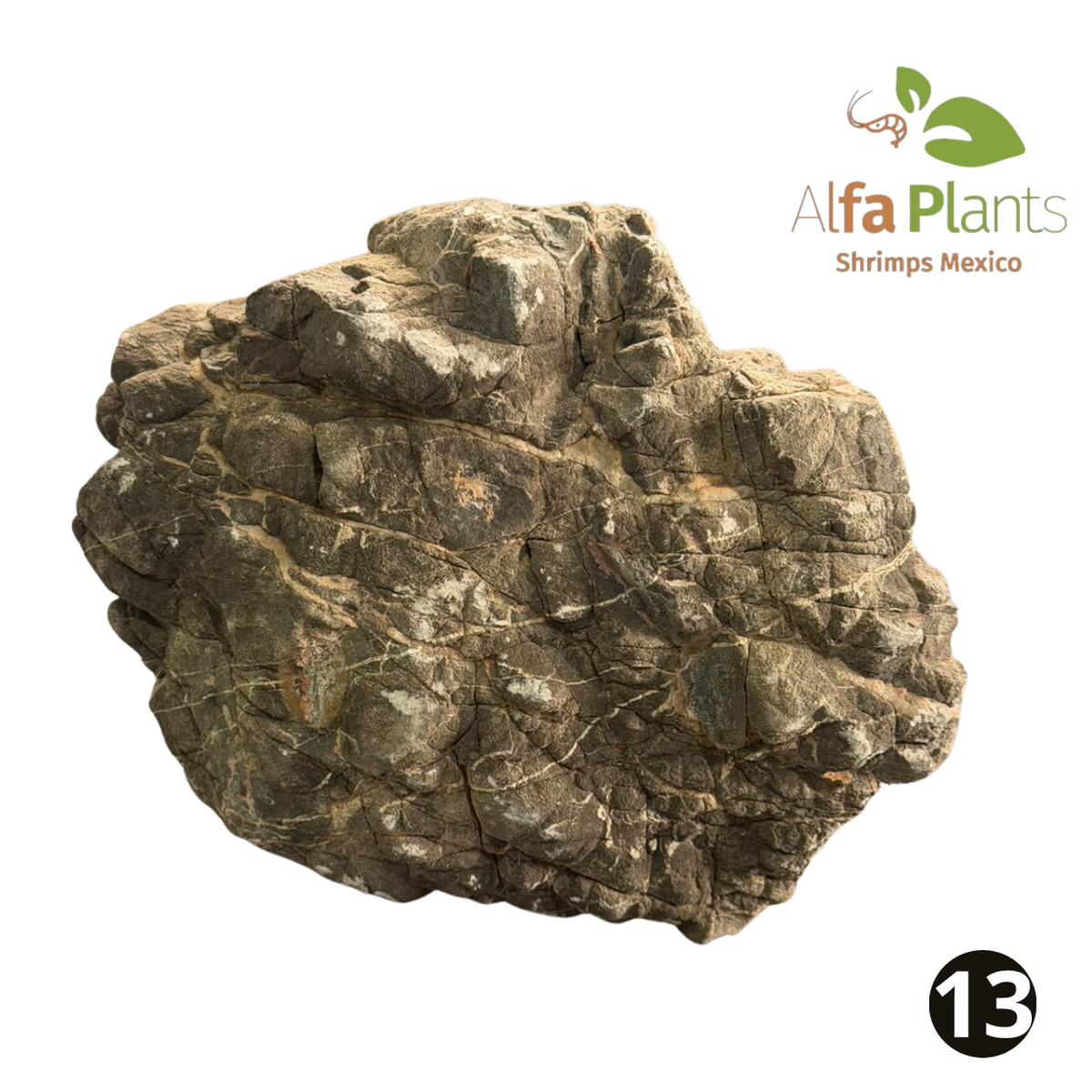 Roca Piel de Elefante