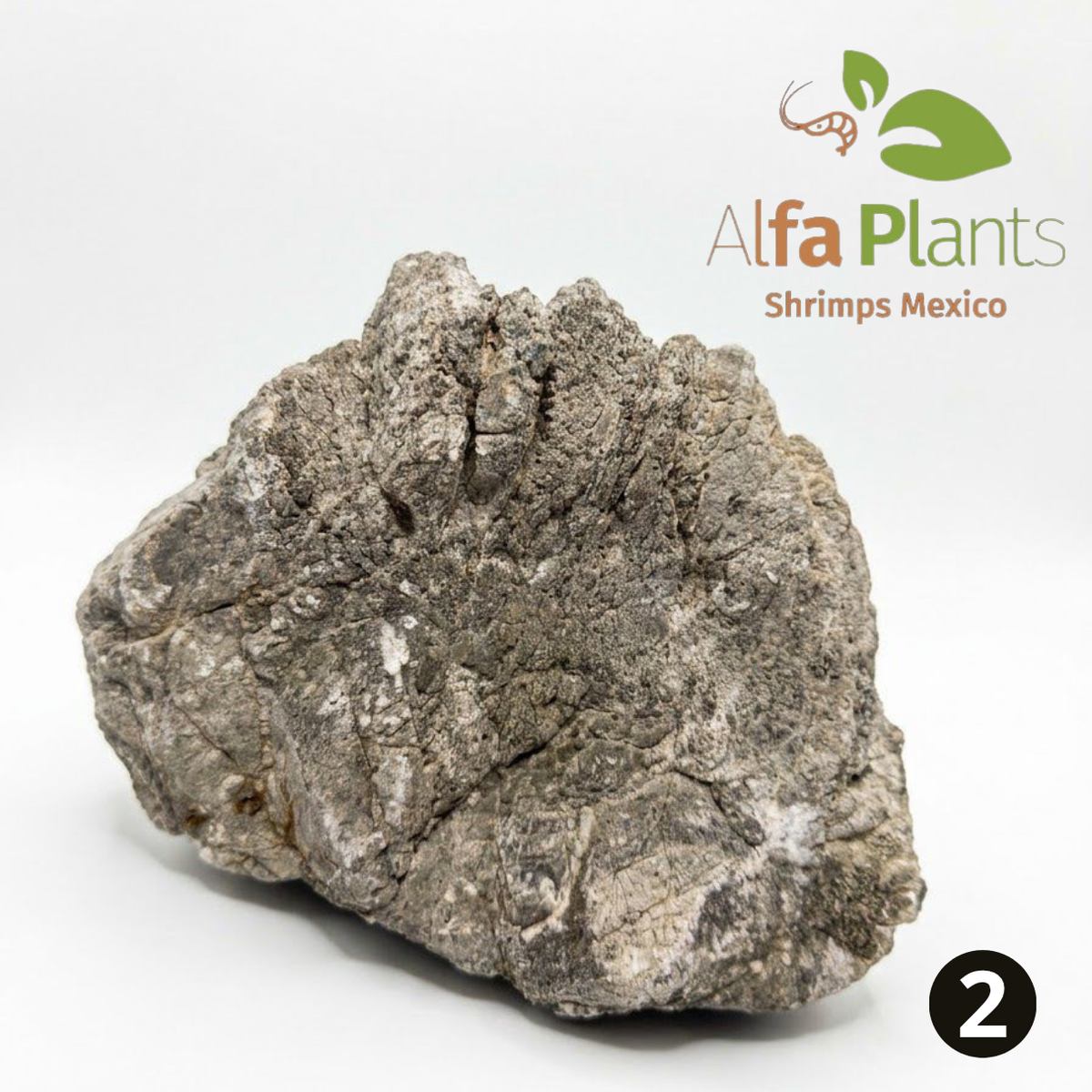 Roca Piel de Elefante