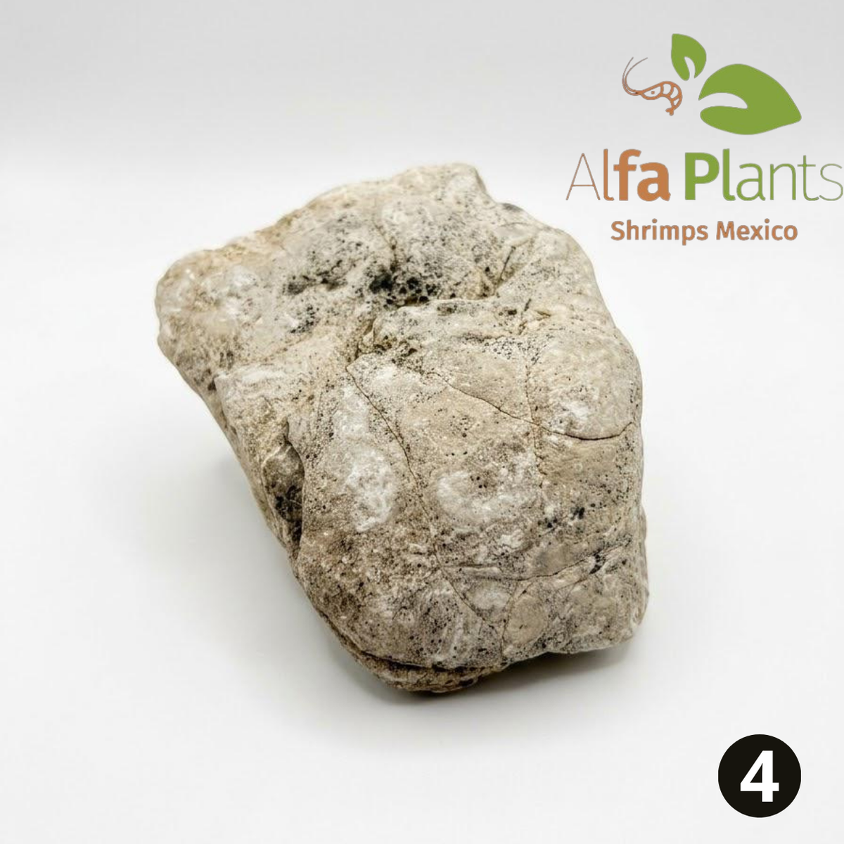 Roca Piel de Elefante