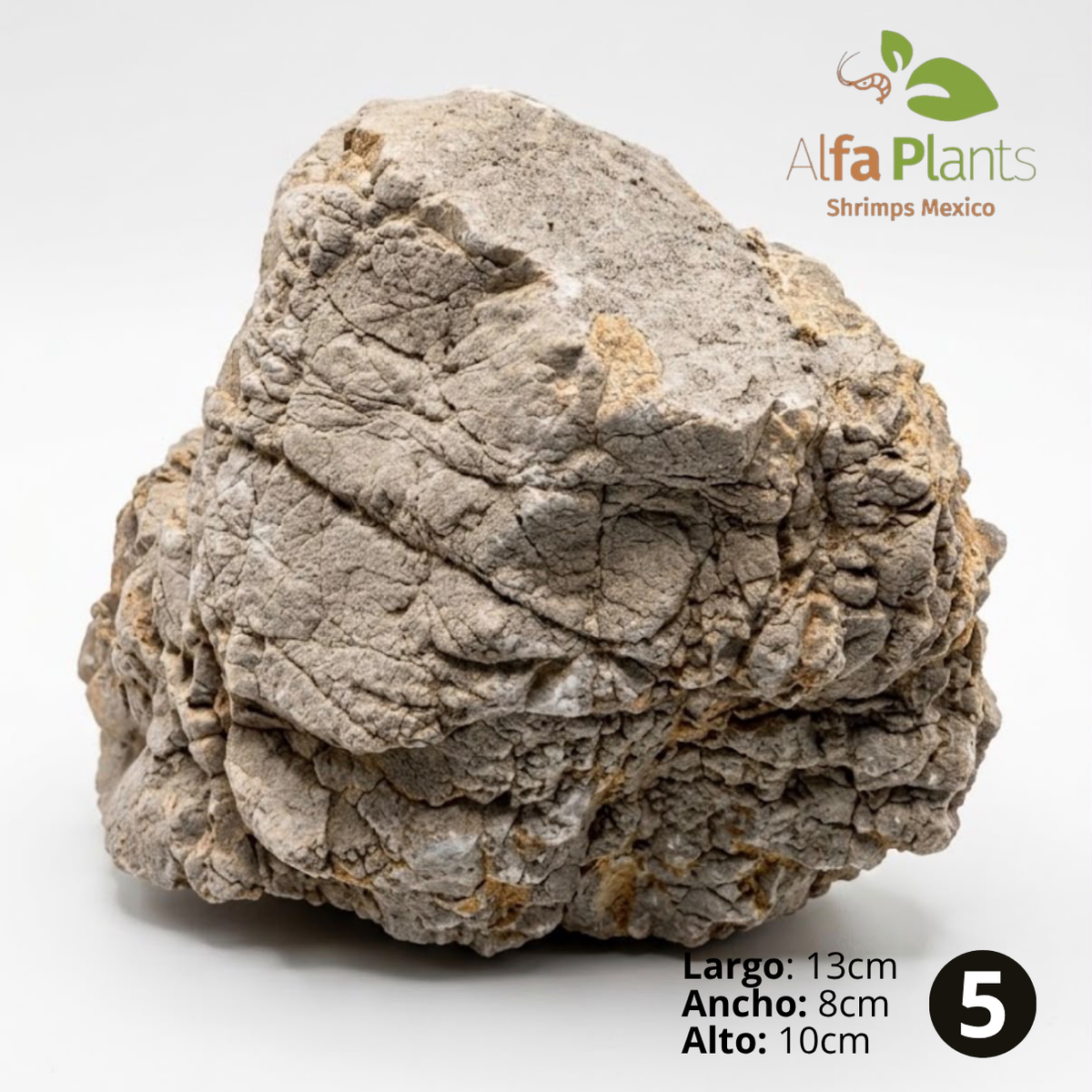 Roca Piel de Elefante
