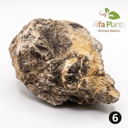 Roca Piel de Elefante