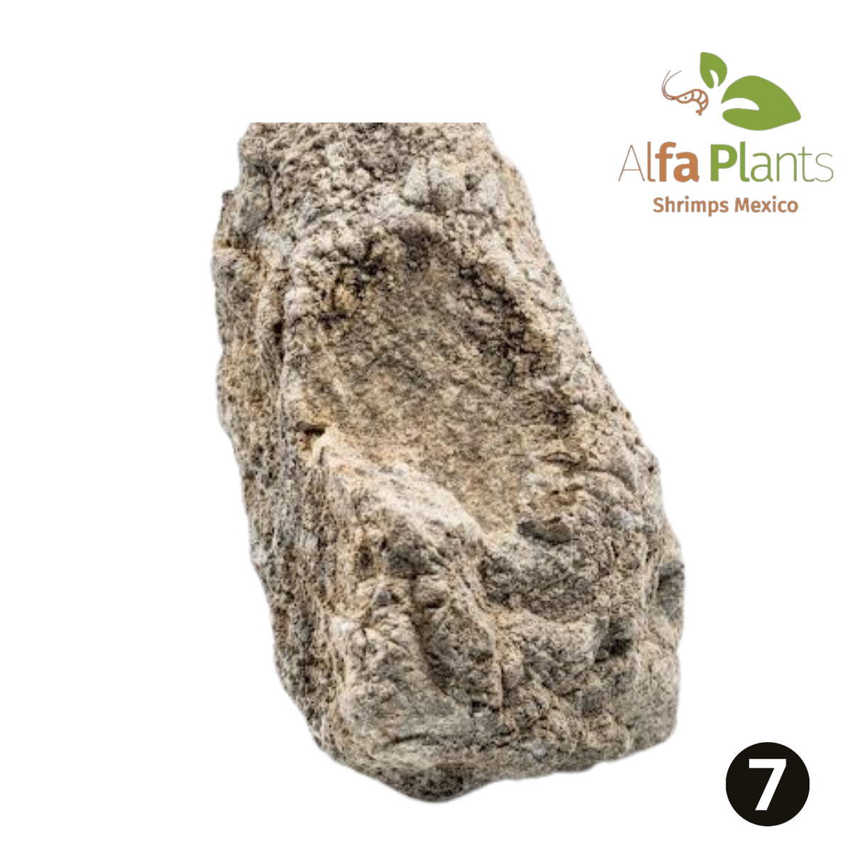 Roca Piel de Elefante