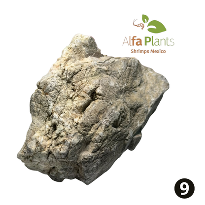 Roca Piel de Elefante