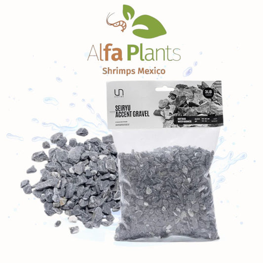 Seiryu Accent Gravel