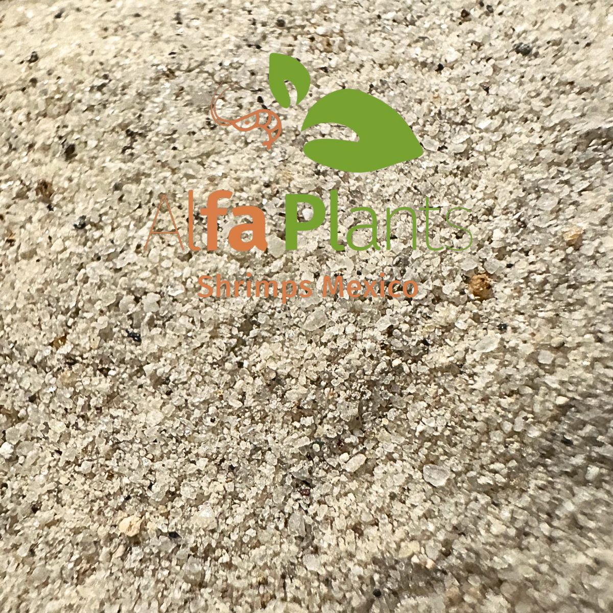 Arena Silica Alfa Sand