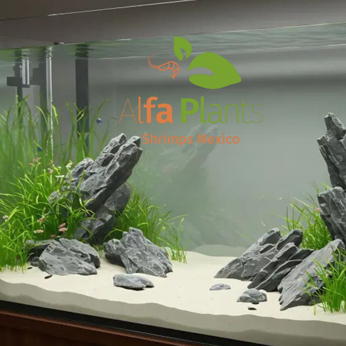 Arena Silica Alfa Sand