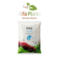 Neo Soil Plants