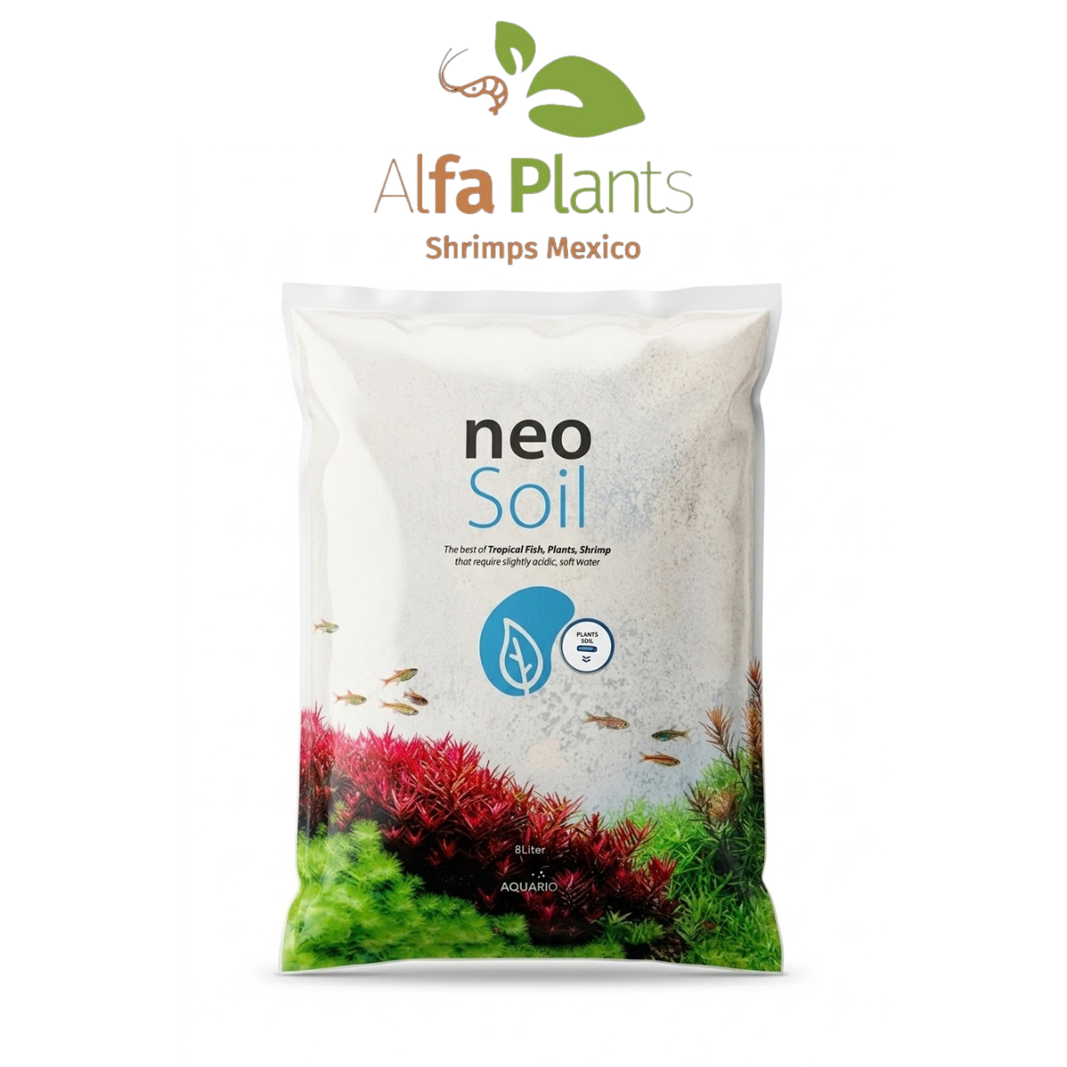 Neo Soil Plants